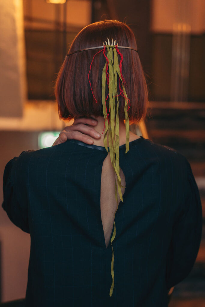 mõned mõtted ühest metsast, varsti kasvavad seal sõnajalad