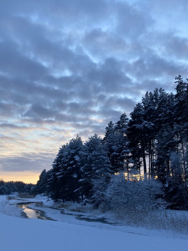 kaheksakand ja tali, üle nurme - Image 3